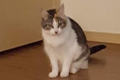 20180815_074302